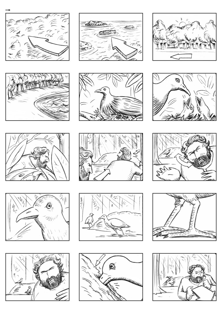 bird-lizard-storyboard1