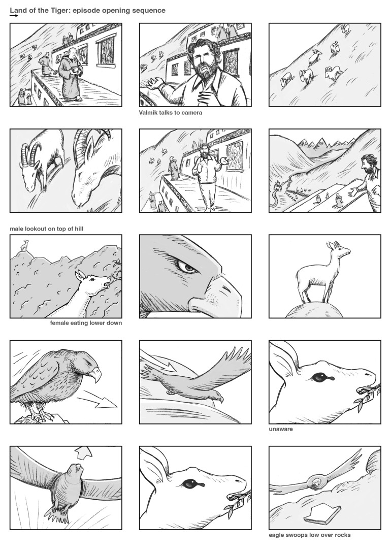 eagle-storyboard-page1c